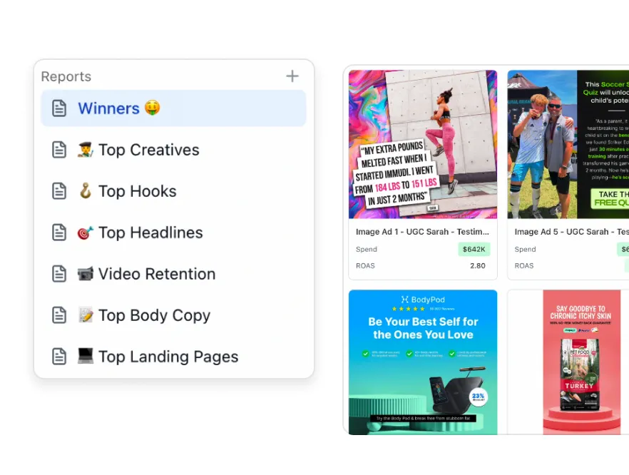 Beautiful Ad Analytics Reports - Skaler feature illustration showing Turn ad data into sleek reports. Share links or export instantly for creative and marketing teams, c...